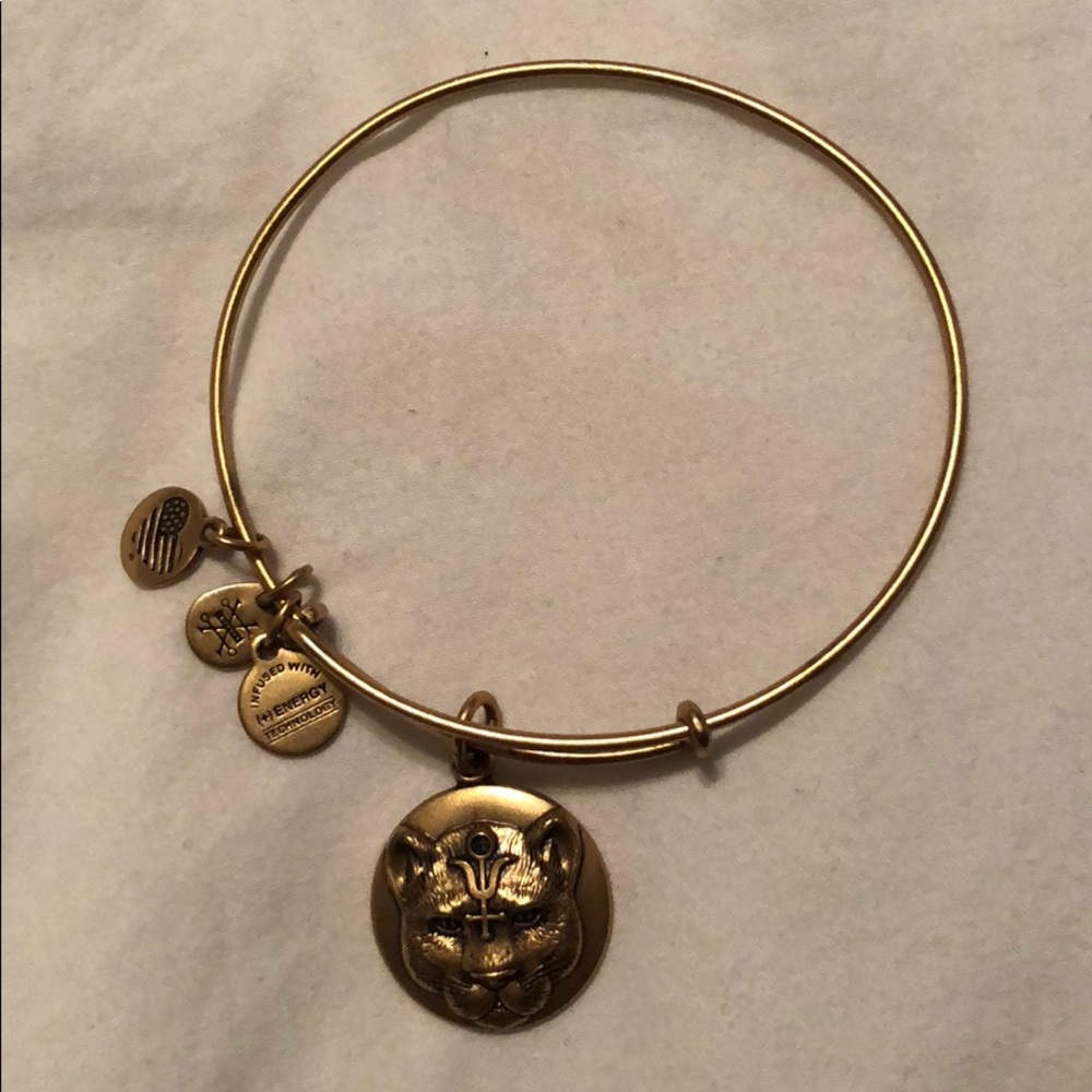 Wild Heart Alex and Ani Bracelet
